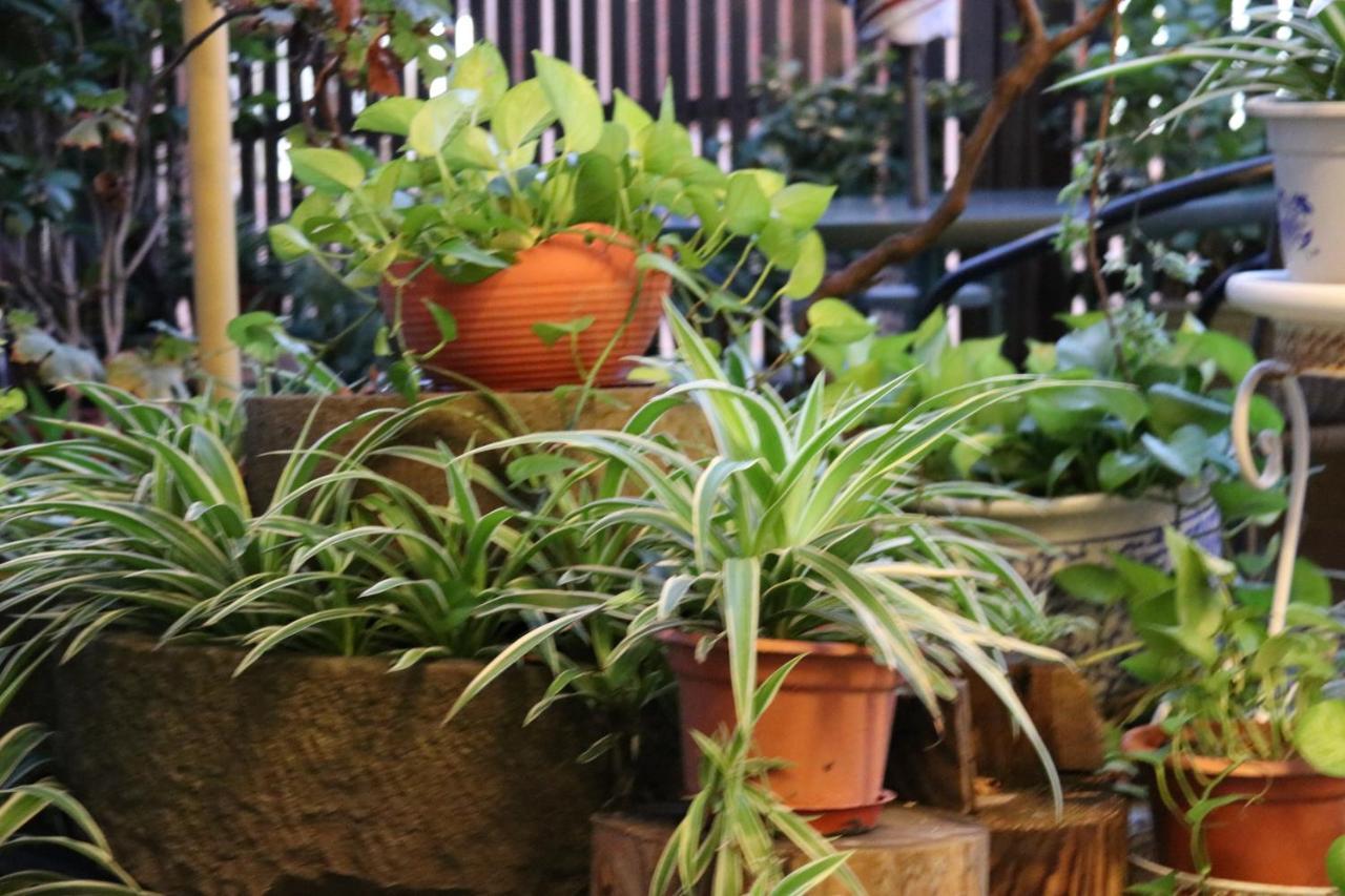 The Phoenix Hostel Shanghai-Laoshan Extérieur photo